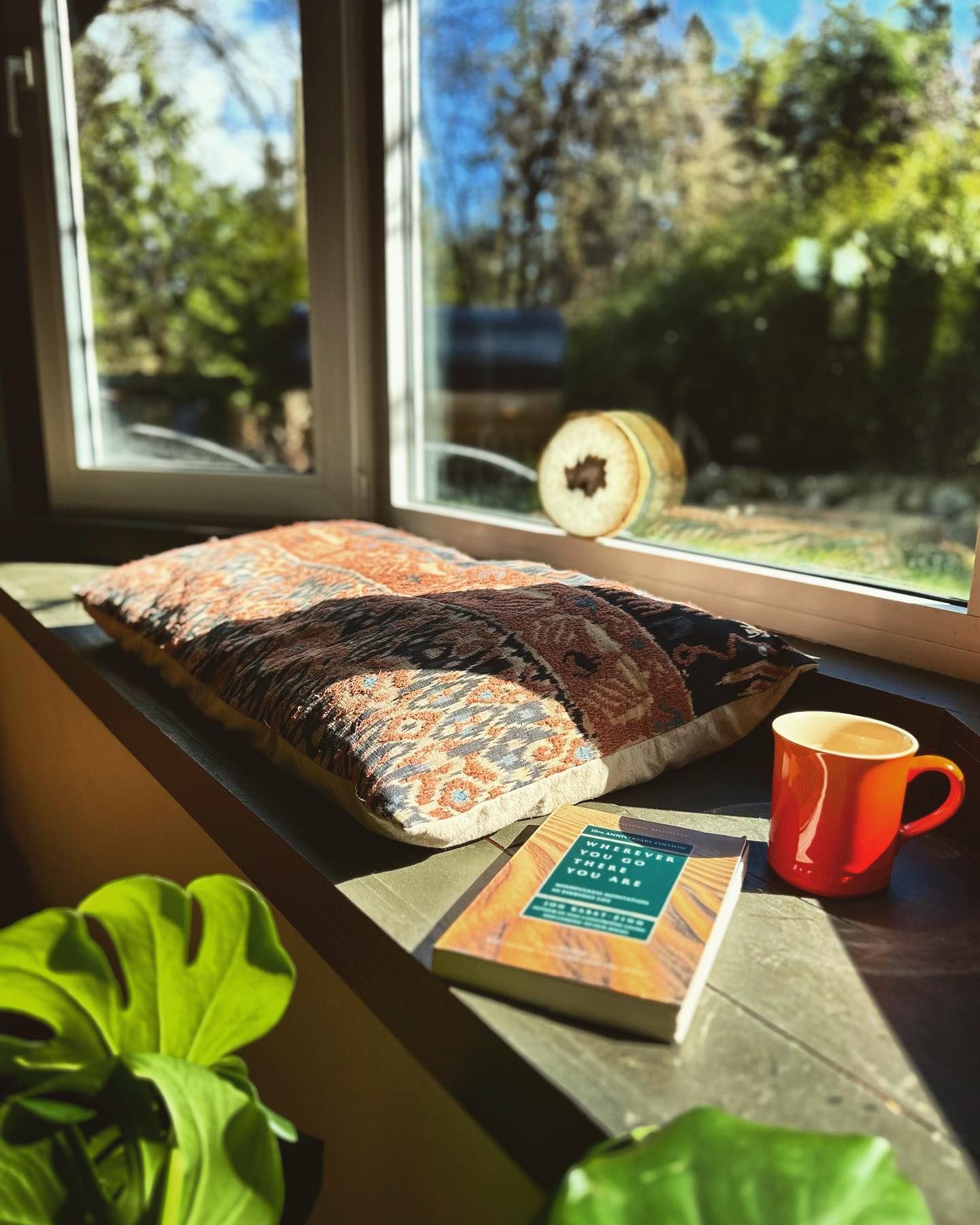 A sunny reading nook overlooking the forest